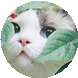 問(wèn)天