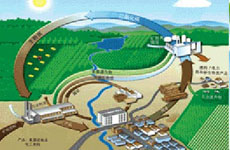 生物質能:智利人的循環(huán)經濟理念