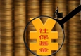 半年報(bào)露出社保基金二季度動向