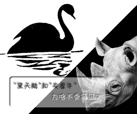 "黑天鵝"和"灰犀牛"為啥不受待見？