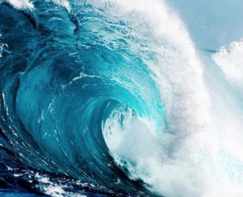 【財經(jīng)翻譯官】浪奔、浪流