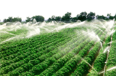 【4月3日】部署現代農業(yè)配套改革試驗工作