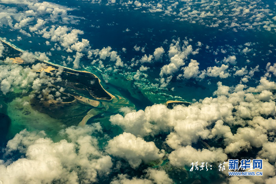 飛躍太平洋，跨越秋與春