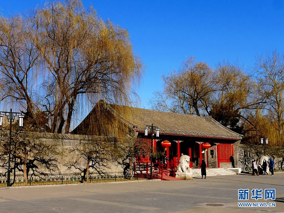 冬至，漫步大觀園