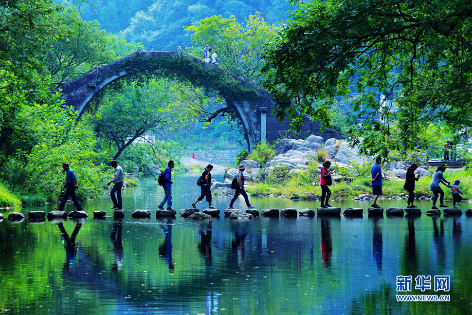 美呆了，中村