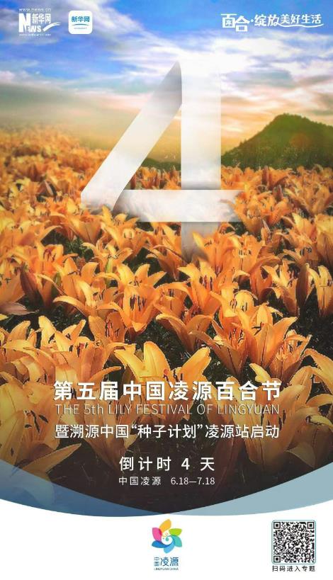 第五屆中國凌源百合節(jié)開幕倒計(jì)時4天