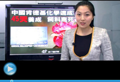 權(quán)威聲音：“快時(shí)代”究竟還有什么可以速成？