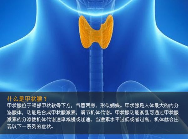 關(guān)注甲狀腺健康，你應(yīng)該知道的那些事