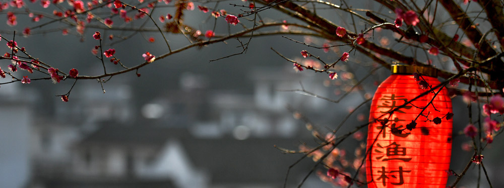 春來花開，綻放正當(dāng)時(shí)
