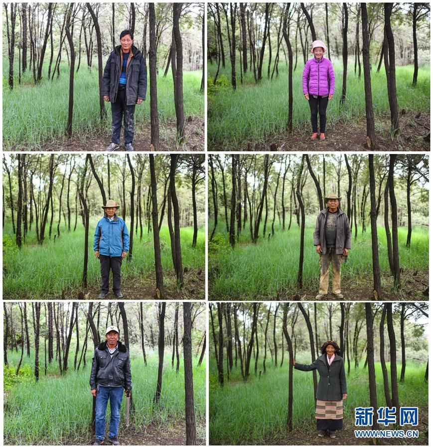 （十九大·讀報(bào)告 話民生）（9）加快生態(tài)文明體制改革，建設(shè)美麗中國