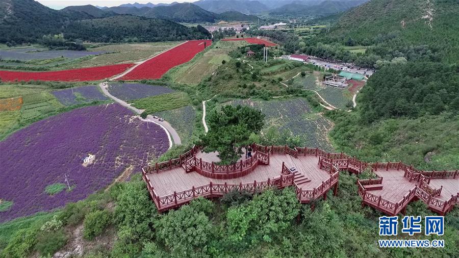 （十九大·讀報告 話民生）（10）加快生態(tài)文明體制改革，建設美麗中國