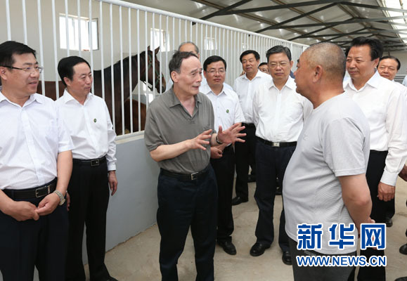 這是7月3日，王岐山在錫林浩特市義合良種馬繁育基地考察。新華社記者 龐興雷 攝