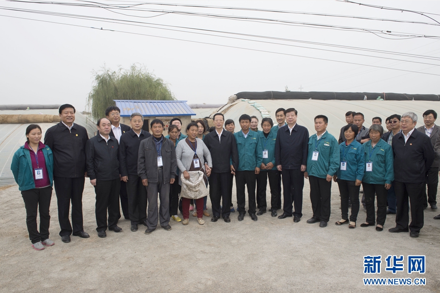 10月22日至23日，中共中央政治局常委、國務院副總理張高麗在山東調(diào)研扶貧工作情況。這是10月23日，張高麗在菏澤市定陶縣杜堂鎮(zhèn)轆灣村中遠蔬菜專業(yè)合作社調(diào)研時與當?shù)夭宿r(nóng)合影。 新華社記者 王曄 攝