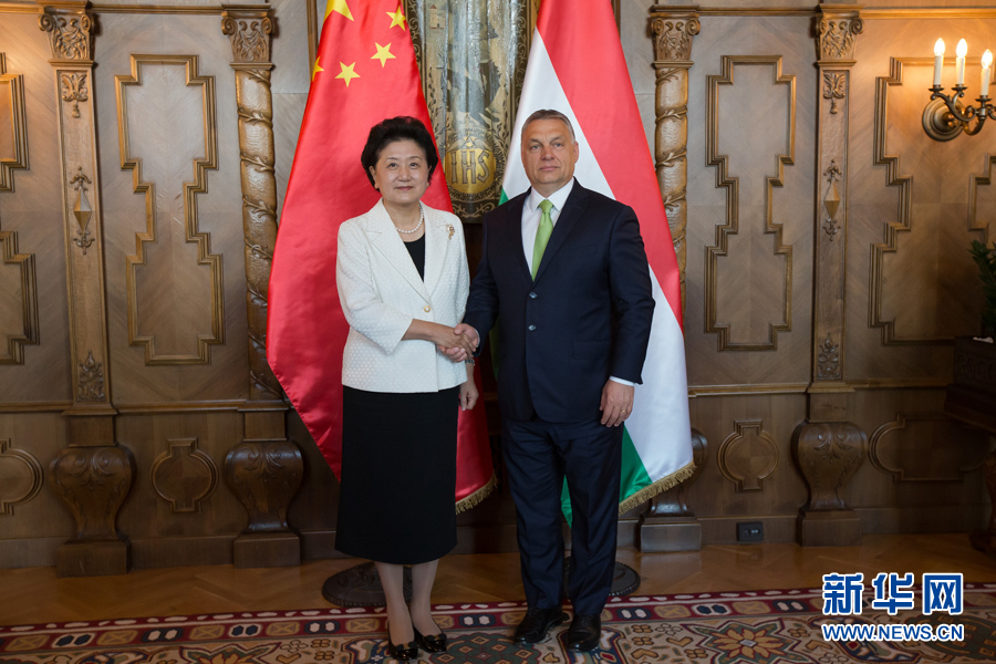  6月21日，國(guó)務(wù)院副總理劉延?xùn)|（左）在匈牙利布達(dá)佩斯國(guó)會(huì)大廈會(huì)見(jiàn)匈牙利總理歐爾班。 新華社發(fā)（弗爾季·奧蒂洛攝）