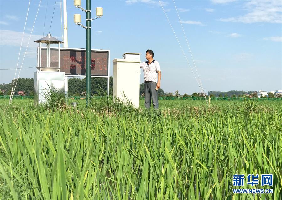 （新華全媒頭條·紀(jì)念改革開放40年特稿·圖文互動(dòng)）（6）向著新航程揚(yáng)帆奮進(jìn)！——從小崗精神看中國(guó)改革開放40年