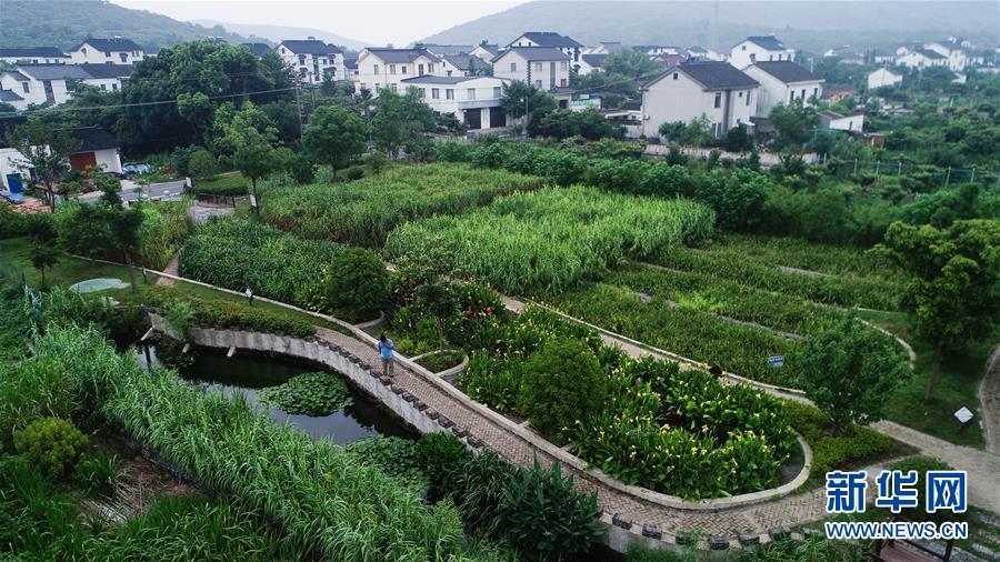 （在習(xí)近平新時代中國特色社會主義思想指引下——新時代新作為新篇章·圖文互動）（1）稀奇！治污濕地成了休閑公園——江蘇蘇州全域推進(jìn)農(nóng)村生活污水治理
