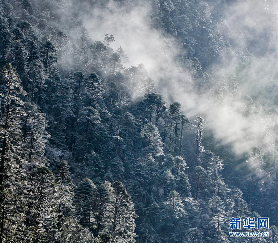 （環(huán)境）（8）白皮書(shū)：青藏高原地區(qū)仍然是地球上最潔凈的地區(qū)之一