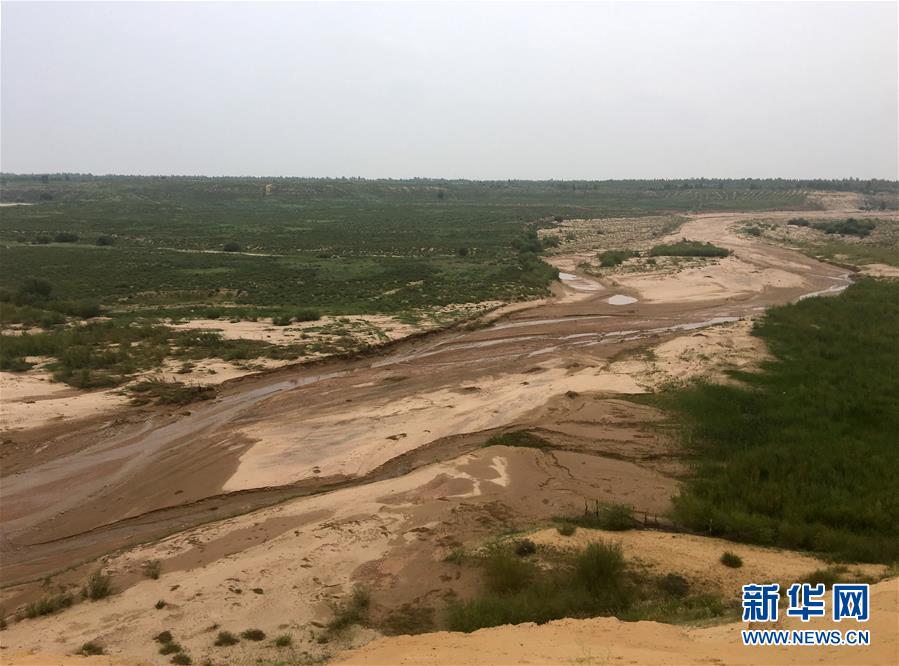 (新華全媒頭條·在習(xí)近平新時代中國特色社會主義思想指引下——新時代新作為新篇章·圖文互動)(5)綠富同興畫卷在沙海中鋪展——庫布其沙漠生態(tài)治理紀實