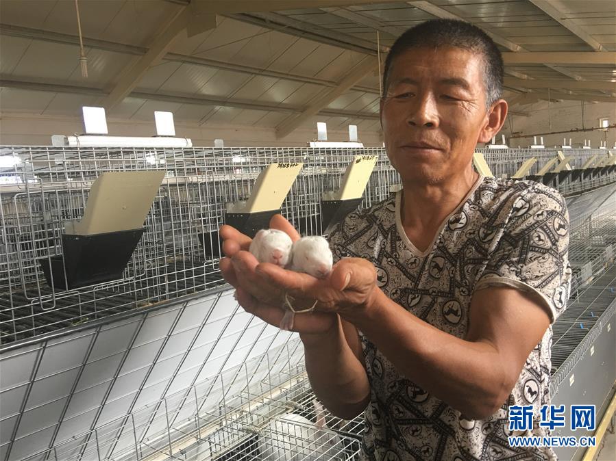 (新華全媒頭條·在習(xí)近平新時代中國特色社會主義思想指引下——新時代新作為新篇章·圖文互動)(10)綠富同興畫卷在沙海中鋪展——庫布其沙漠生態(tài)治理紀實