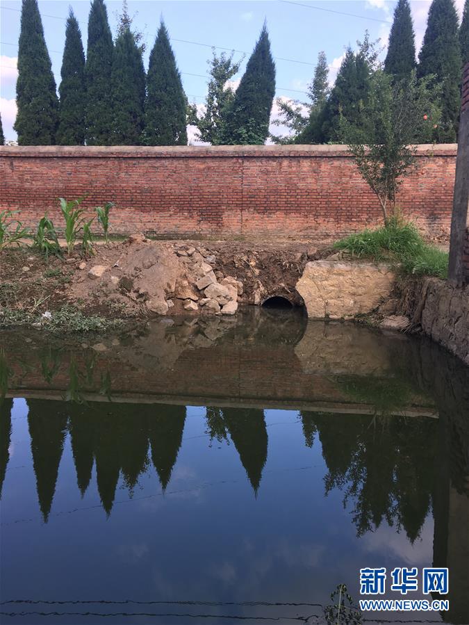 （新華視點(diǎn)·圖文互動(dòng)）（3）上游洪水來襲下游魚蟹死亡，泄洪為何變泄污？