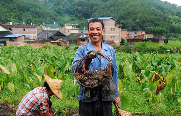 秋收的中國(guó)，你想象不到的美！但更美的是……