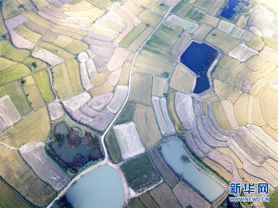 （新華全媒頭條·壯闊東方潮　奮進新時代——慶祝改革開放40年·圖文互動）（2）小崗，與時代同行——“中國農(nóng)村改革第一村”40年變遷的改革啟示