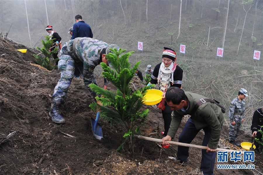 （圖文互動）（6）和平年代，離死神最近的人——南部戰(zhàn)區(qū)陸軍云南掃雷大隊邊境掃雷排爆記事