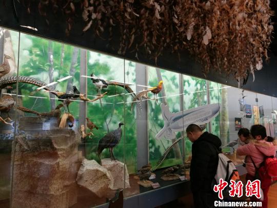 圖為展覽現(xiàn)場?！『h航 攝