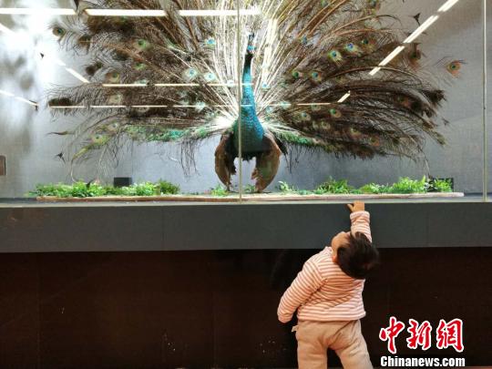圖為展覽現(xiàn)場?！『h航 攝