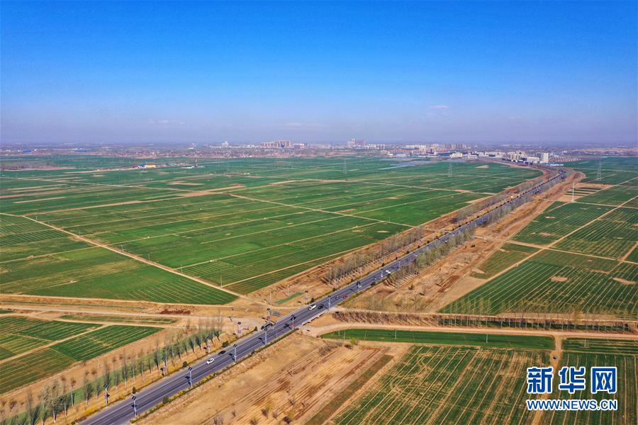 （新華全媒頭條·圖文互動）（2）奮進，向著未來之城！——河北雄安新區(qū)建設(shè)發(fā)展兩周年紀(jì)實