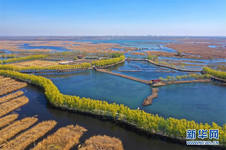 （新華全媒頭條·圖文互動）（5）奮進，向著未來之城！——河北雄安新區(qū)建設(shè)發(fā)展兩周年紀(jì)實