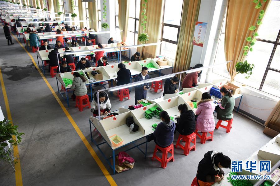 （在習(xí)近平新時代中國特色社會主義思想指引下——新時代新作為新篇章·圖文互動）（5）“搬遷到哪里，服務(wù)就延伸到哪里”——貴州推進易地扶貧搬遷“后半篇文章” 