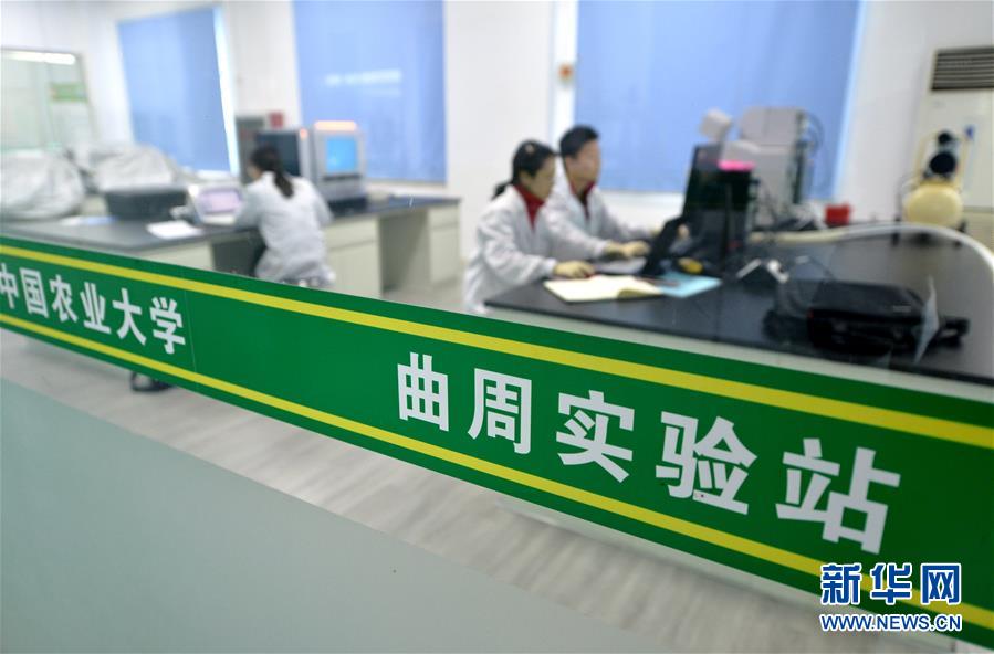 （愛國情 奮斗者·圖文互動）（3） “解民生之多艱，育天下之英才”——中國農(nóng)大師生扎根田野書寫奉獻之歌