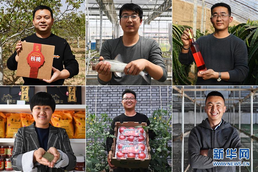 （在習(xí)近平新時(shí)代中國特色社會主義思想指引下——新時(shí)代新作為新篇章·圖文互動）（1）在綠色田野上書寫青春答卷——幾位“新農(nóng)民”的返鄉(xiāng)創(chuàng)業(yè)故事
