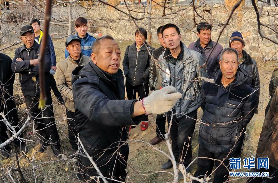 （新華全媒頭條·圖文互動）（8）鍛造領航復興的中流砥柱——寫在“不忘初心、牢記使命”主題教育即將啟動之際