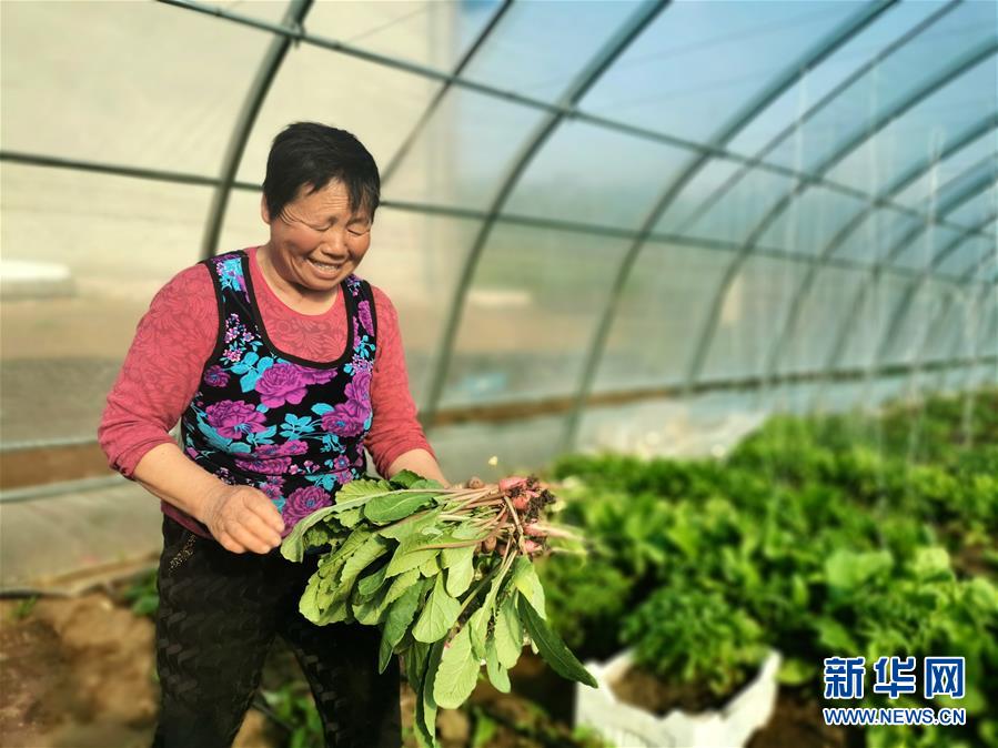 （圖文互動）（3）（在習近平新時代中國特色社會主義思想指引下——新時代新作為新篇章）“團結(jié)”振興團結(jié)村——黑龍江拜泉縣團結(jié)村凝聚民心攻堅脫貧