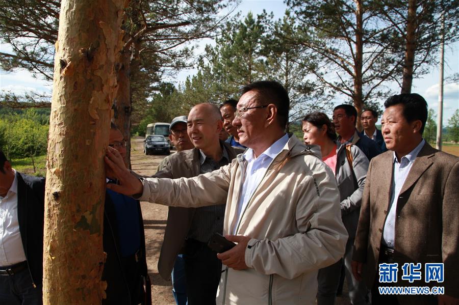 （新華全媒頭條&middot;圖文互動）（4）用生命守護那片綠色&mdash;&mdash;追記內(nèi)蒙古大興安嶺林區(qū)干部于海俊