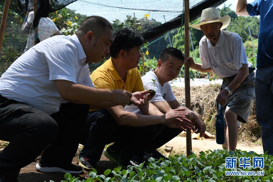 （圖文互動）（3）烏蒙山區(qū)扶貧第一書記背后的&ldquo;老監(jiān)工&rdquo;