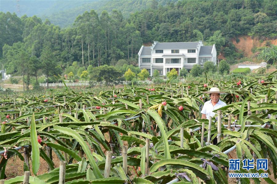 （在習(xí)近平新時(shí)代中國(guó)特色社會(huì)主義思想指引下——新時(shí)代新作為新篇章·總書記關(guān)心的百姓身邊事·圖文互動(dòng)）（6）大污染變身“大寶藏”：治理畜禽糞污，他們這樣干！