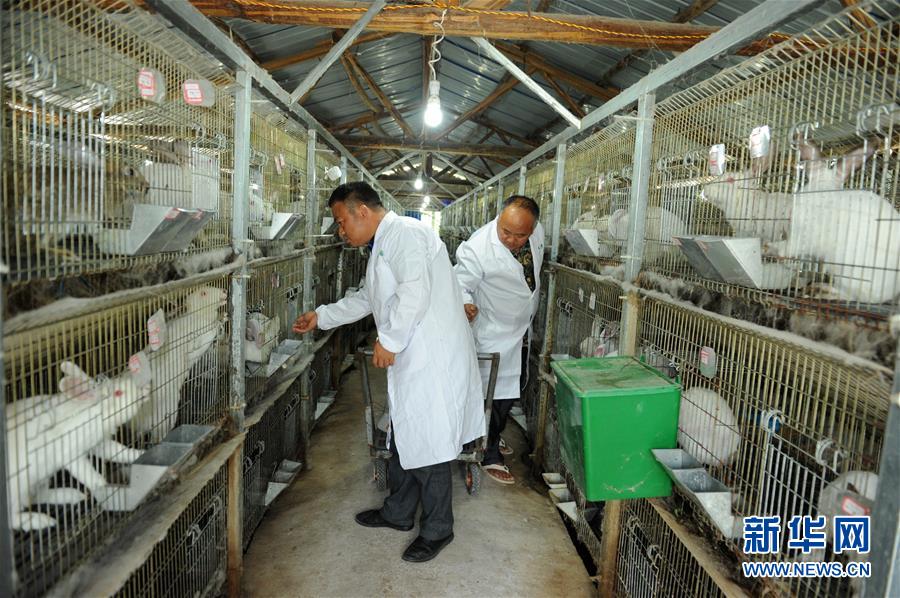 （新華全媒頭條·圖文互動）（4）干部去哪兒了？——貴州干部大規(guī)模下沉脫貧攻堅一線紀實