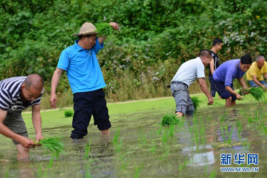 （新華全媒頭條·圖文互動）（8）干部去哪兒了？——貴州干部大規(guī)模下沉脫貧攻堅一線紀實