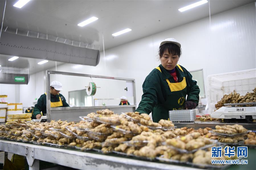 （在習近平新時代中國特色社會主義思想指引下——新時代新作為新篇章·總書記關(guān)切高質(zhì)量發(fā)展·圖文互動）（3）穩(wěn)住“一頭豬”、供好“一袋米”、配好“一籃菜
