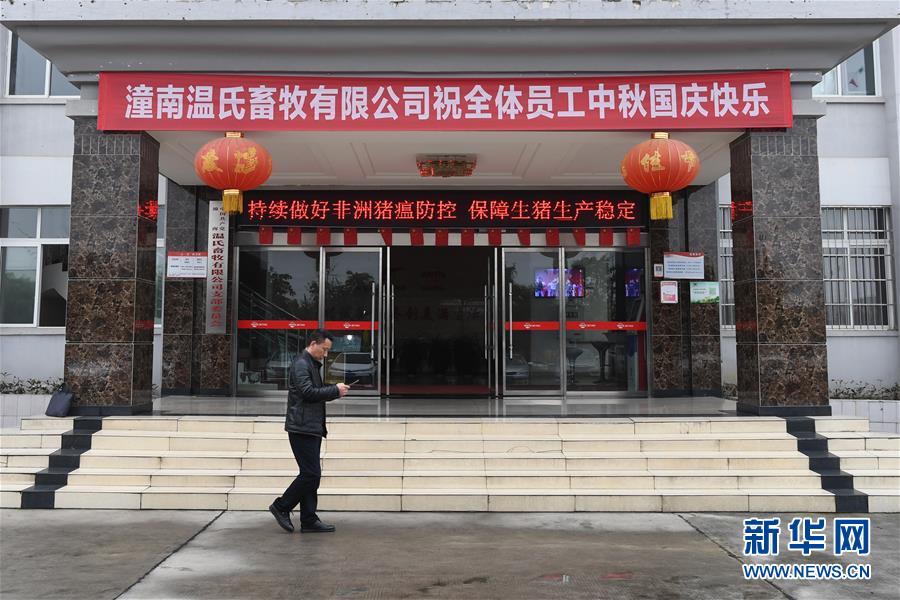 （在習近平新時代中國特色社會主義思想指引下——新時代新作為新篇章·總書記關(guān)切高質(zhì)量發(fā)展·圖文互動）（1）穩(wěn)住“一頭豬”、供好“一袋米”、配好“一籃菜