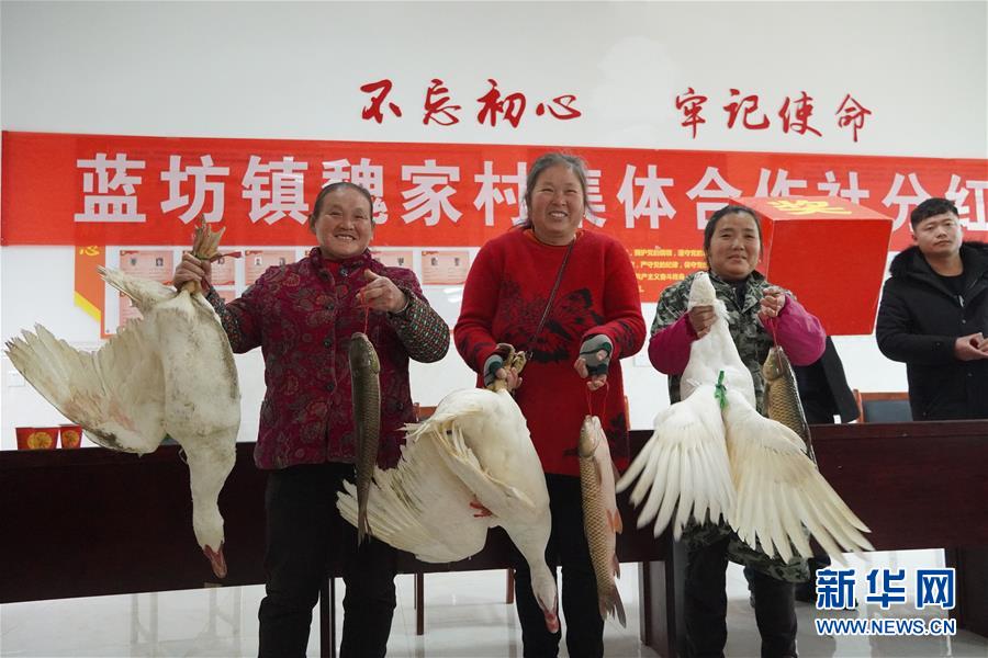 （新春走基層·圖文互動）（4）“空殼村”分紅啦！