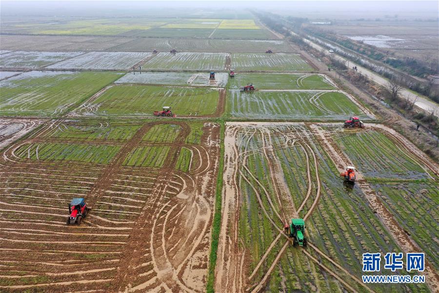 （抓好春耕備耕 穩(wěn)住農(nóng)業(yè)生產(chǎn)·圖文互動(dòng)）（2）智能農(nóng)機(jī)、“訂單”服務(wù)、“云端”種菜——來自江西的春耕“新事”