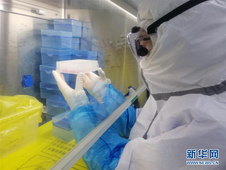 （一線抗疫群英譜·圖文互動）（2）“95后”大學生郝鶯歌：退掉車票，她選擇直面病毒
