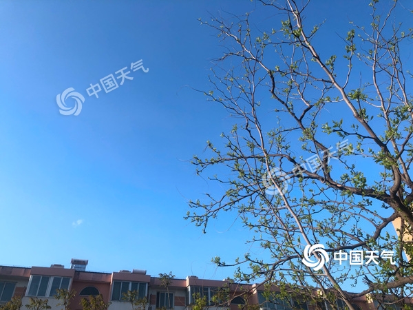 陣風8級！北京遭遇雨后大降溫 北風勁吹需添衣