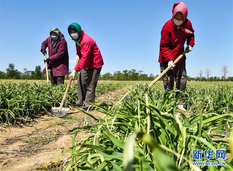 （新華全媒頭條·圖文互動(dòng)）（17）從人民中汲取磅礴力量——習(xí)近平總書記同出席2020年全國(guó)兩會(huì)人大代表、政協(xié)委員共商國(guó)是紀(jì)實(shí)