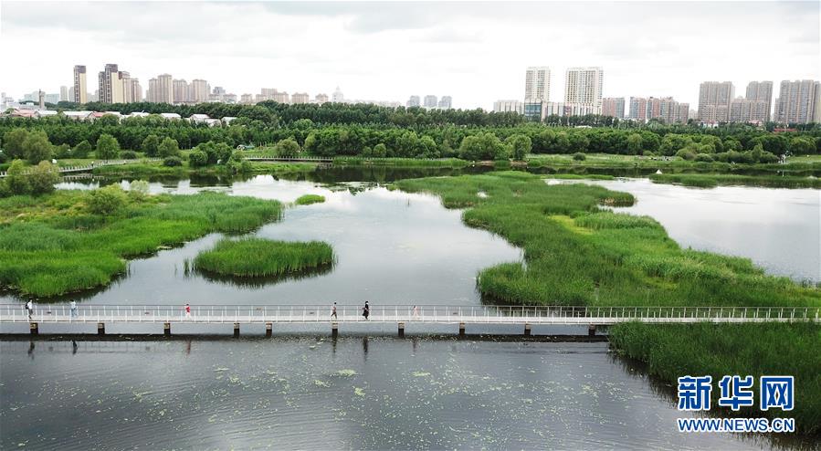 （走向我們的小康生活·圖文互動(dòng)）（1）水清、地綠、空氣新——最北省份黑龍江繪就生態(tài)治理新畫卷