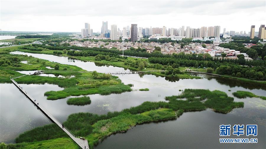 （走向我們的小康生活·圖文互動(dòng)）（2）水清、地綠、空氣新——最北省份黑龍江繪就生態(tài)治理新畫卷